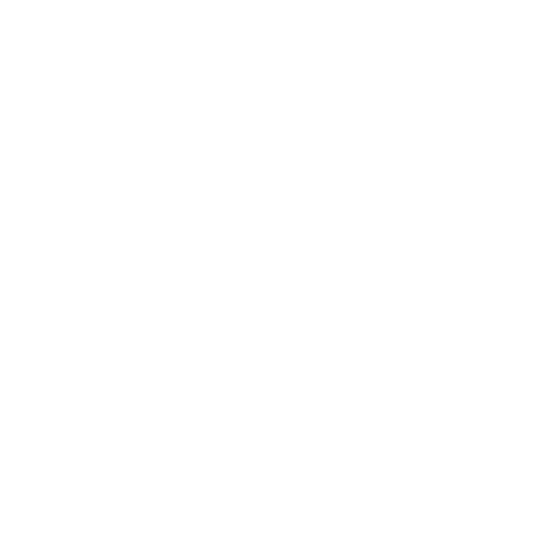 cerveau